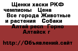 Щенки хаски РКФ чемпионы › Цена ­ 90 000 - Все города Животные и растения » Собаки   . Алтай респ.,Горно-Алтайск г.